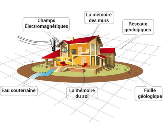 La Géobiologie