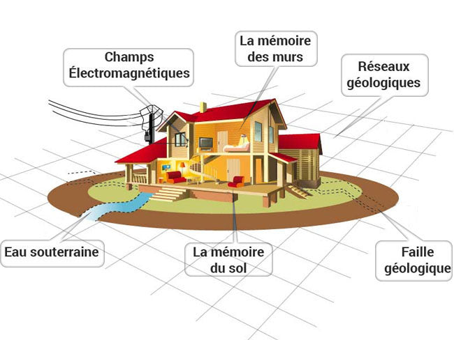 La Géobiologie