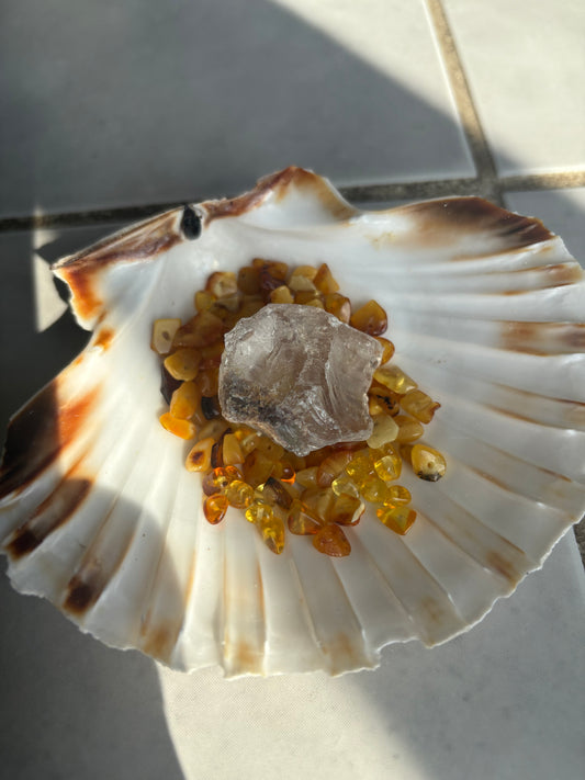 Coquille Ambre & quartz cristal de roche