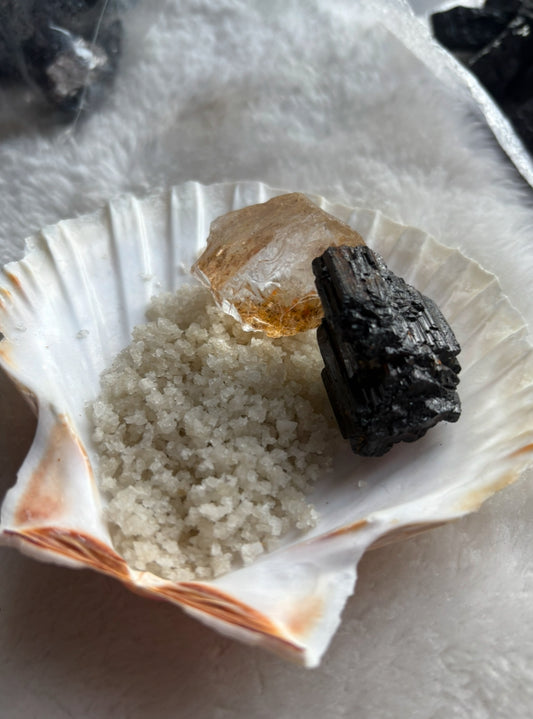Coquille Ancrage & Protection